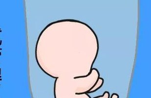 深圳市没有结婚证做三代试管婴儿生孩费用整理