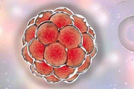 美国三代试管婴儿3大核心技术介绍，附美国三代试管婴儿优势